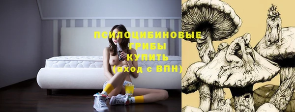 молекула духа Армянск