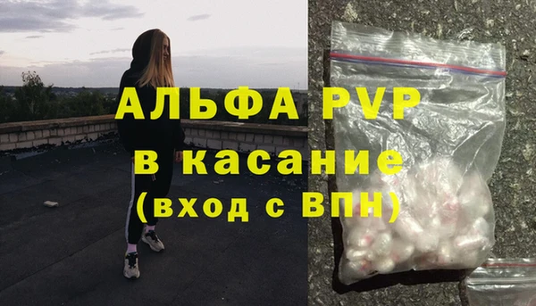 амф Аркадак