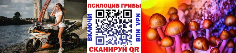 Купить  Сасово  Псилоцибиновые грибы прущие грибы 