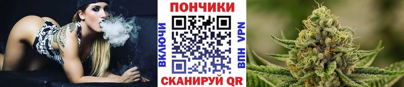 Бошки марихуана гибрид  Купить где  Сасово 